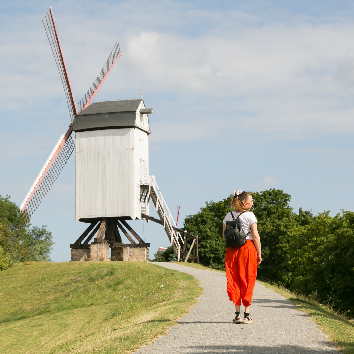 Grote tassen
